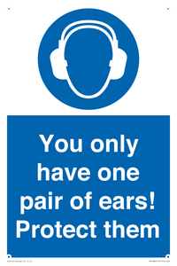 Mandatory: You only have one pair of ears! Protect them